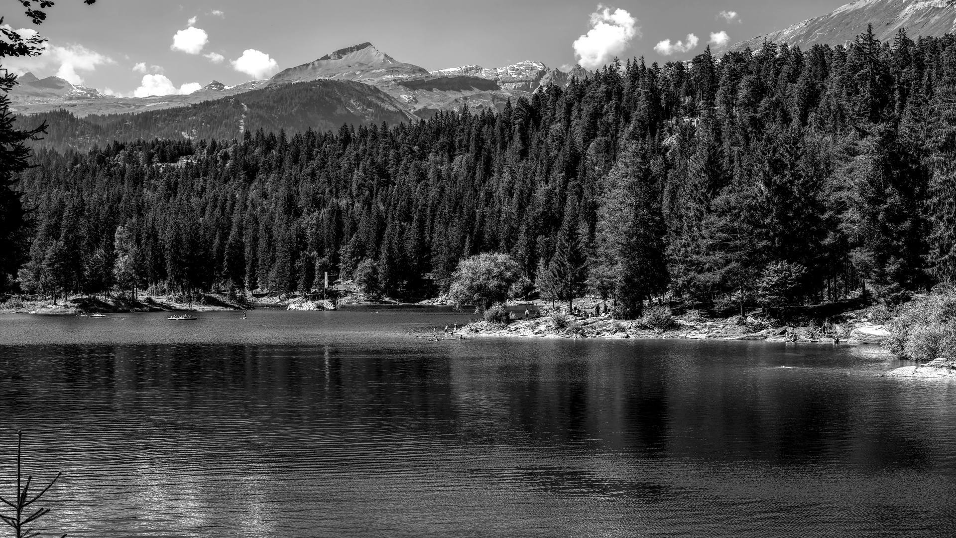 Ogentik enterprise workflow automation